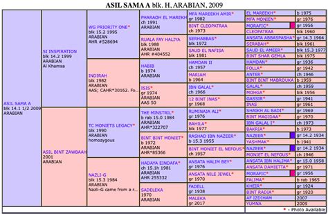 For Sale. . Arabian horse pedigree search